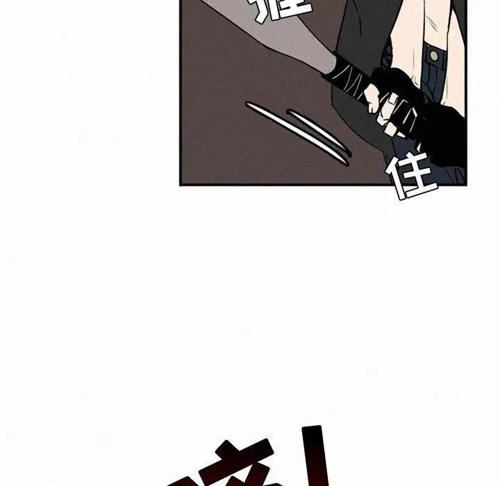 47 第63页