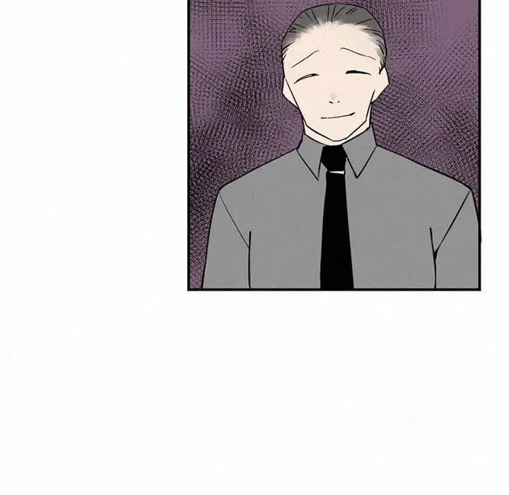 46 第31页
