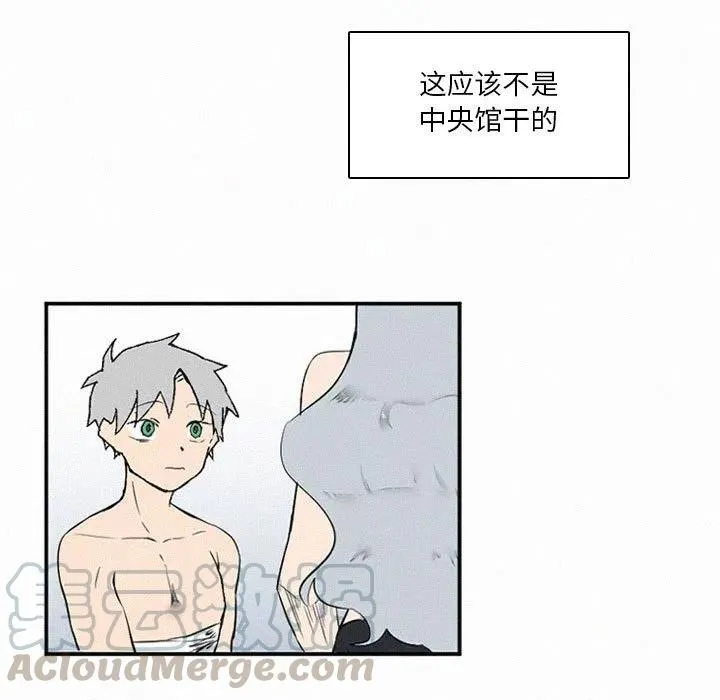 46 第141页