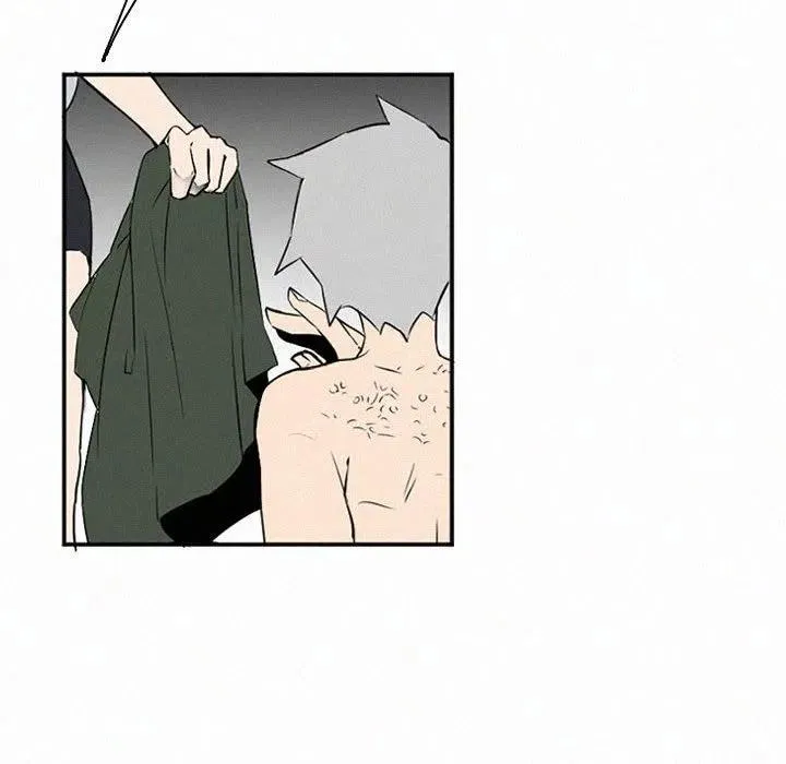 46 第144页