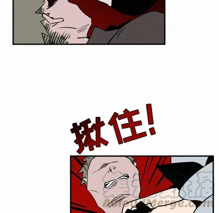 44 第37页