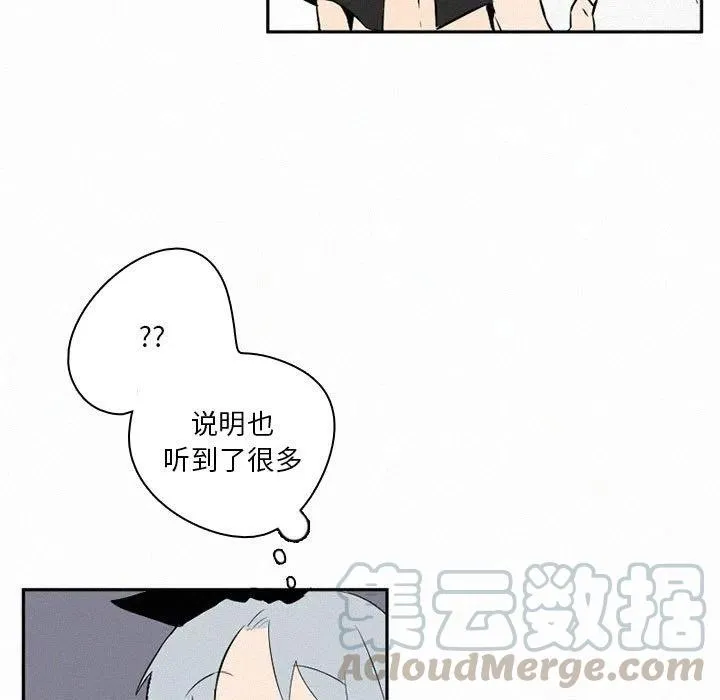 43 第33页