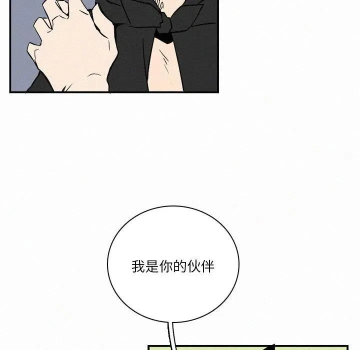 43 第43页