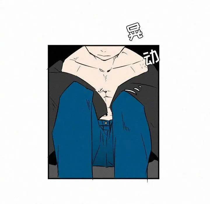 43 第78页