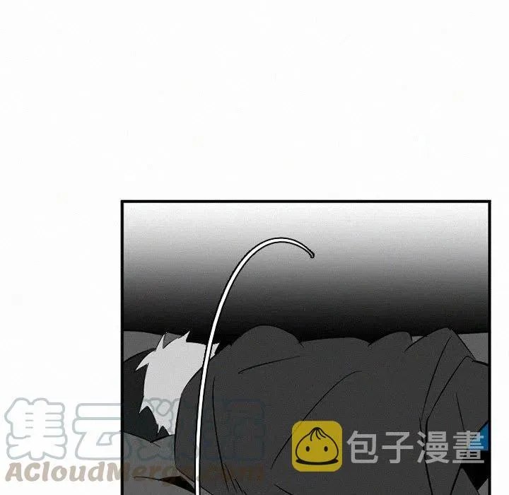 43 第81页