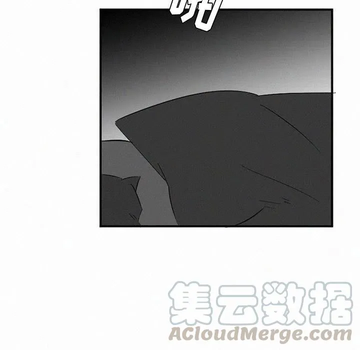 43 第85页