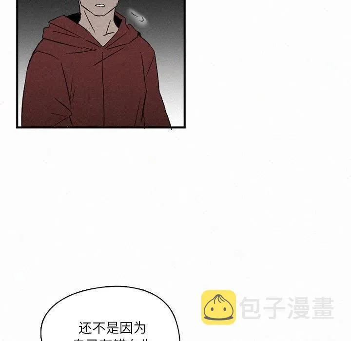 43 第107页