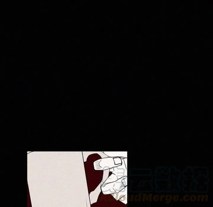 42 第41页