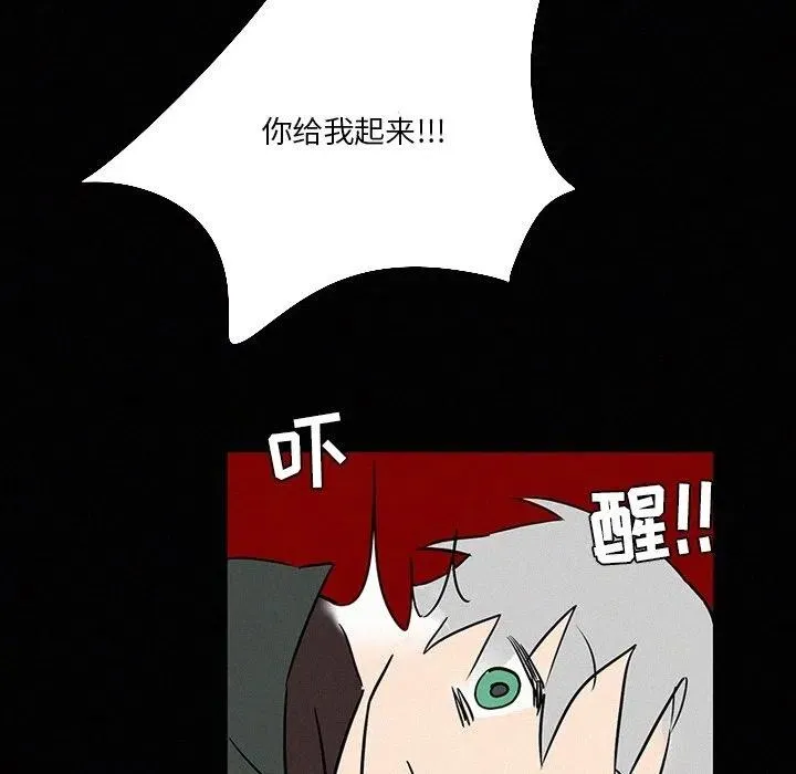 41 第8页