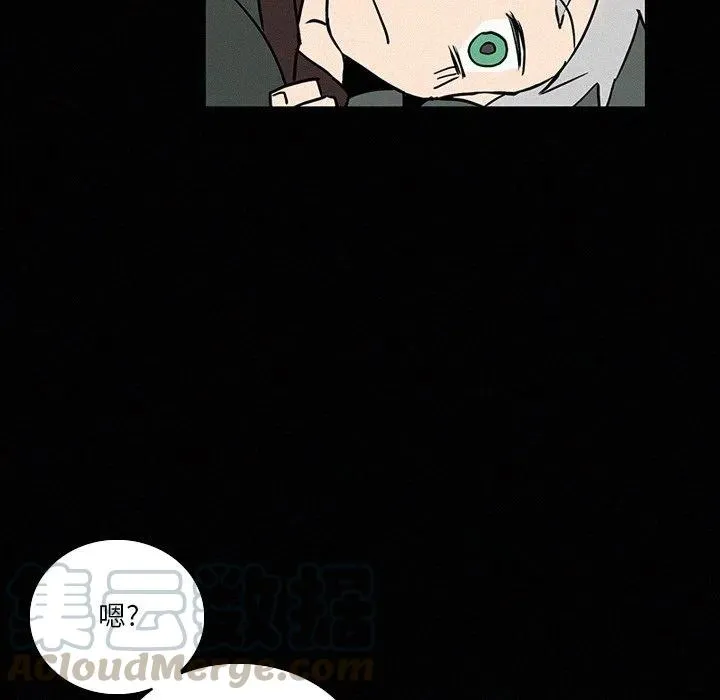 41 第9页