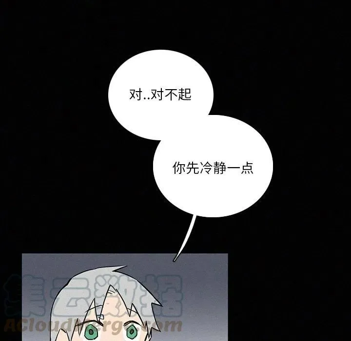 41 第13页