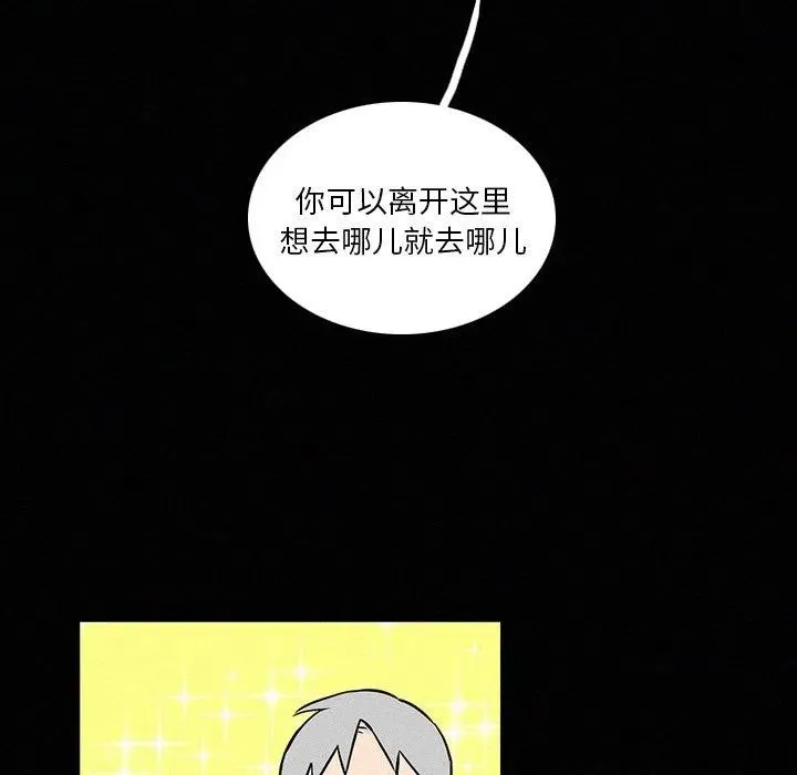 41 第23页