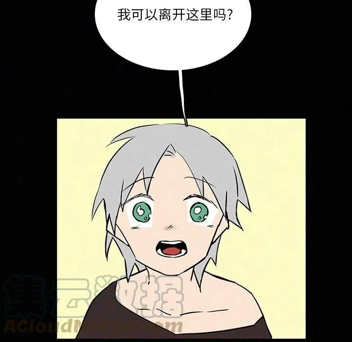 41 第25页
