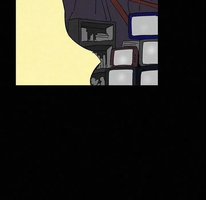 41 第34页