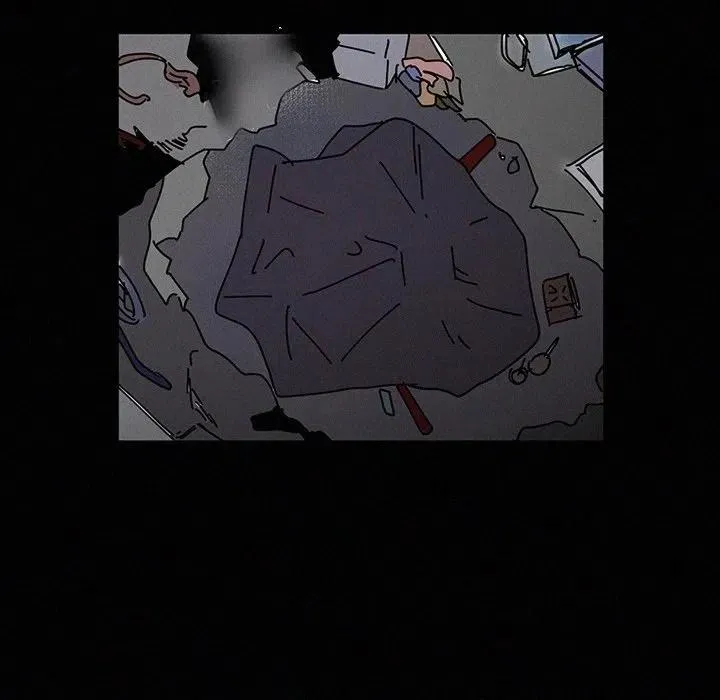 41 第55页