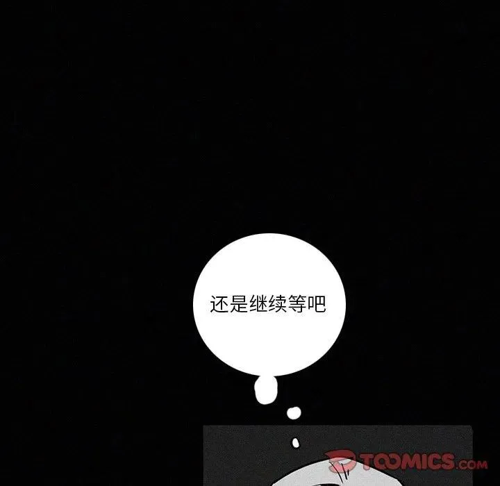41 第66页