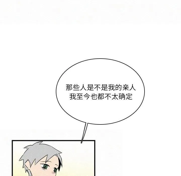 41 第82页