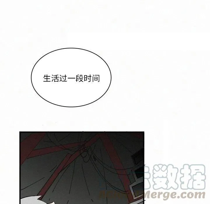 41 第85页