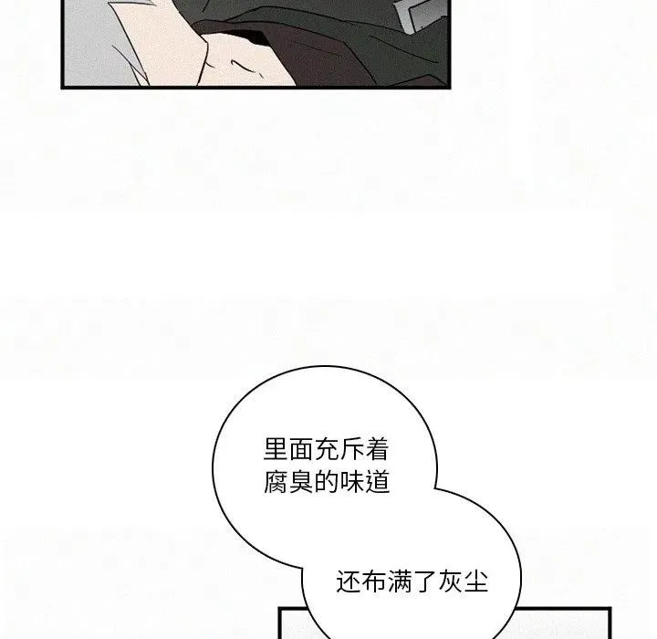 41 第86页