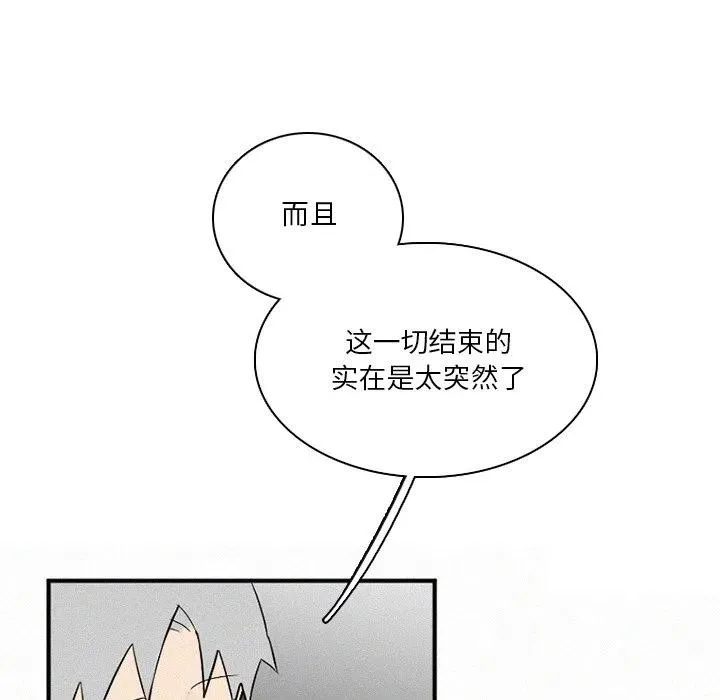 41 第88页