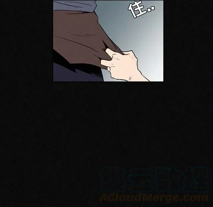 41 第97页