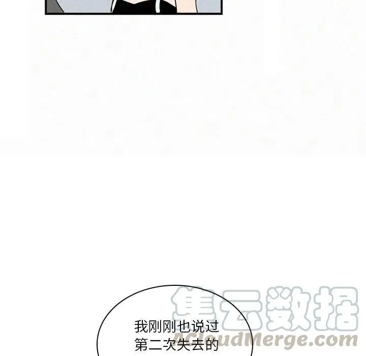 41 第113页