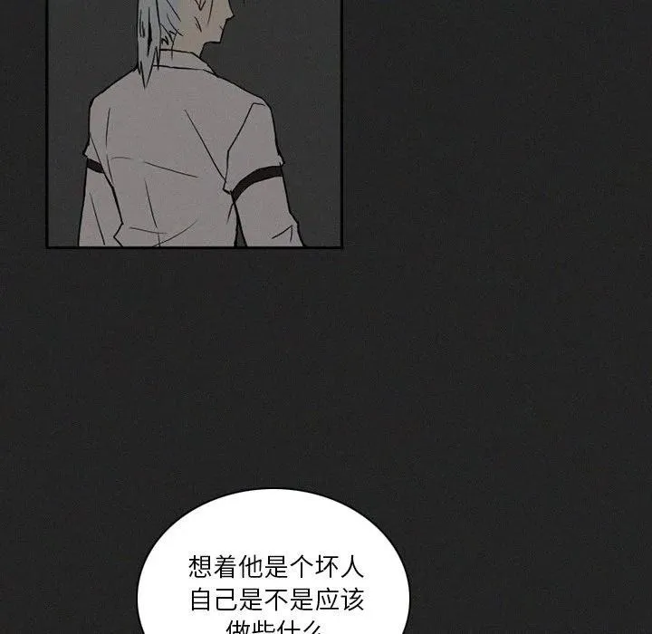 41 第116页
