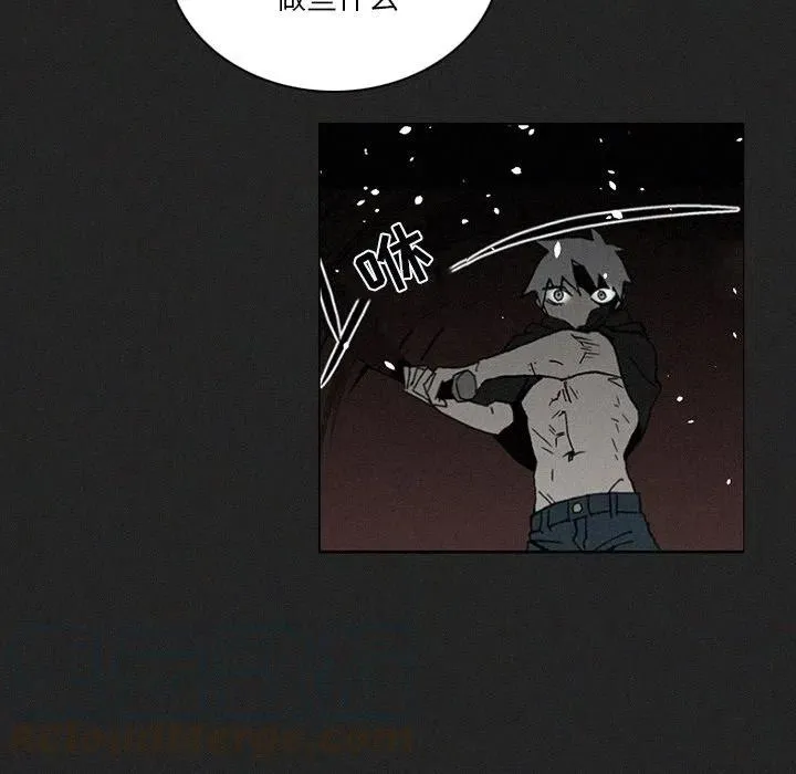 41 第117页