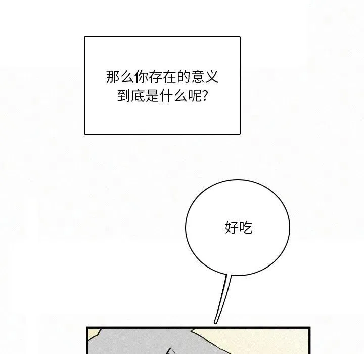 41 第132页