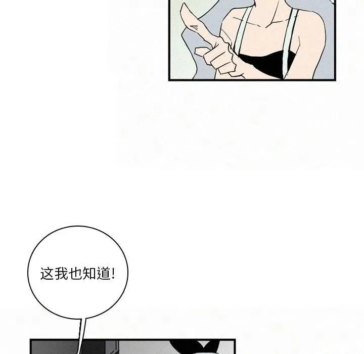 41 第135页