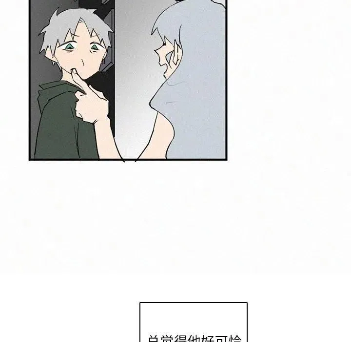 41 第136页