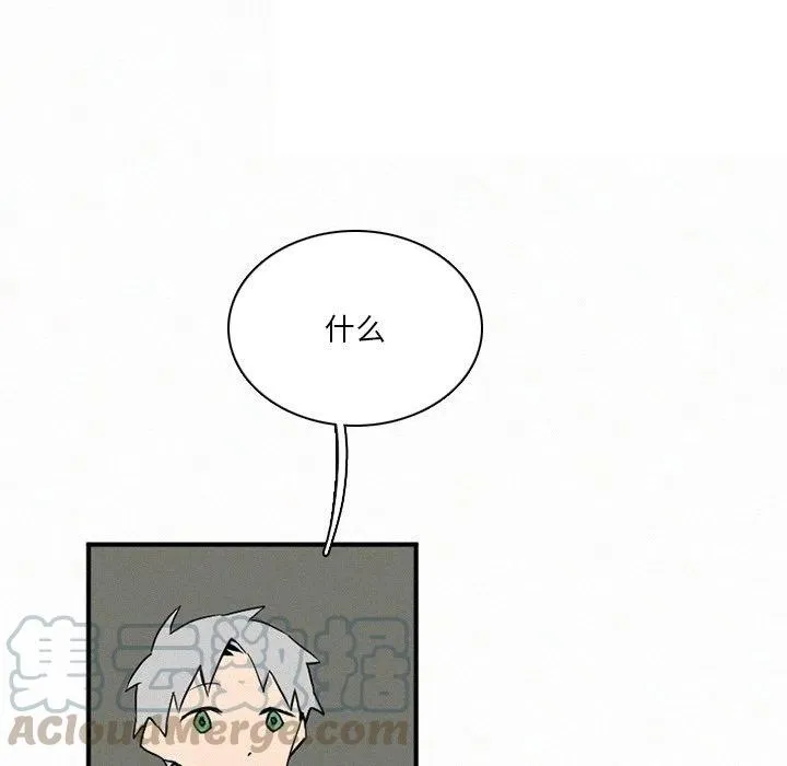 41 第145页