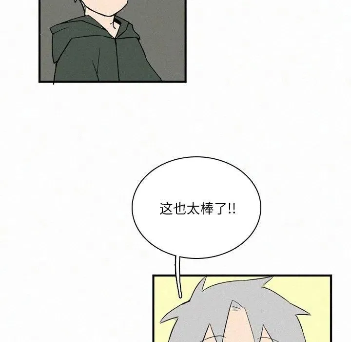 41 第146页