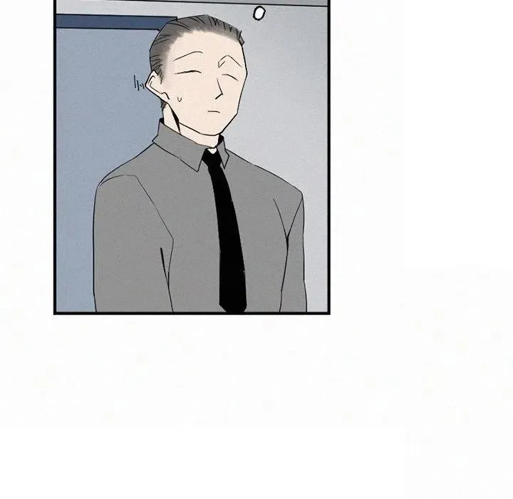 41 第154页