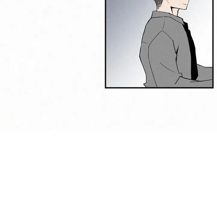 41 第160页