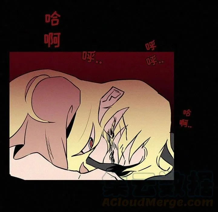 40 第77页