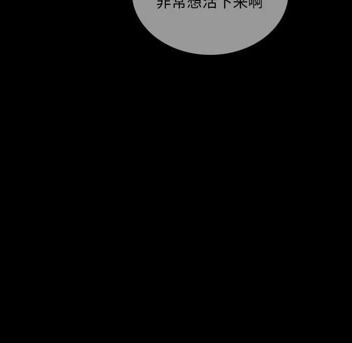 39 第43页