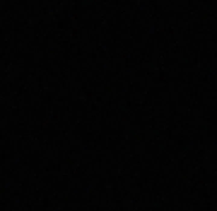 39 第96页
