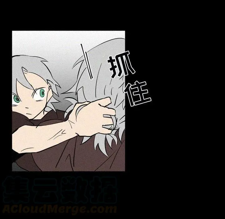 38 第113页