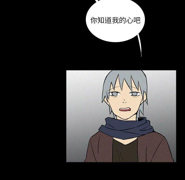 37 第55页
