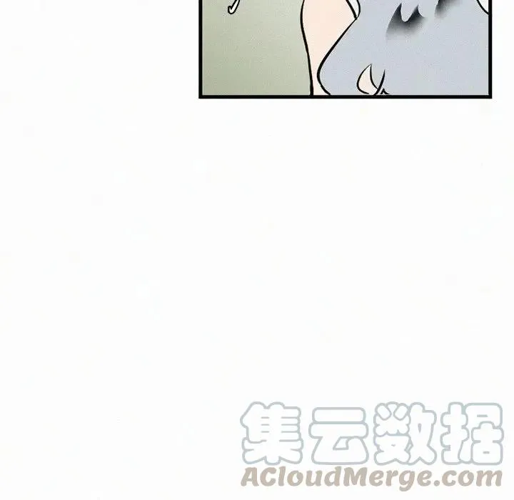 36 第17页
