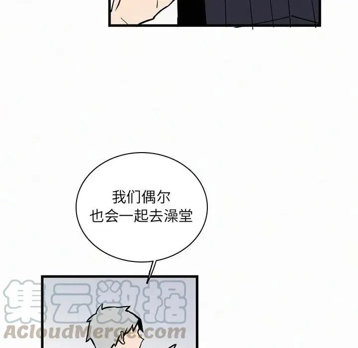 36 第41页