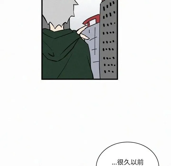 36 第48页