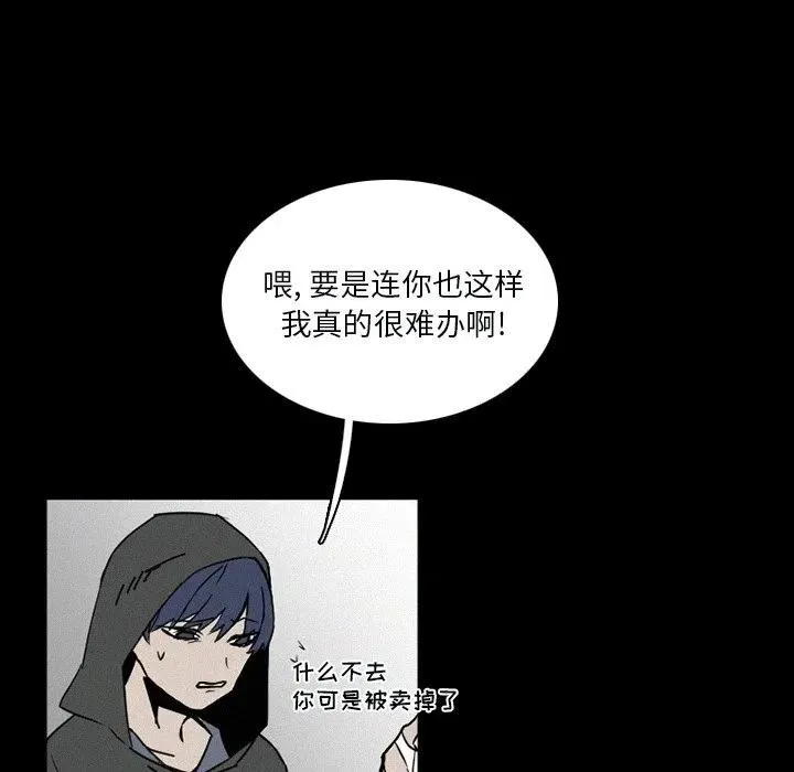 33 第23页