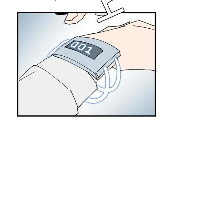 33 第107页