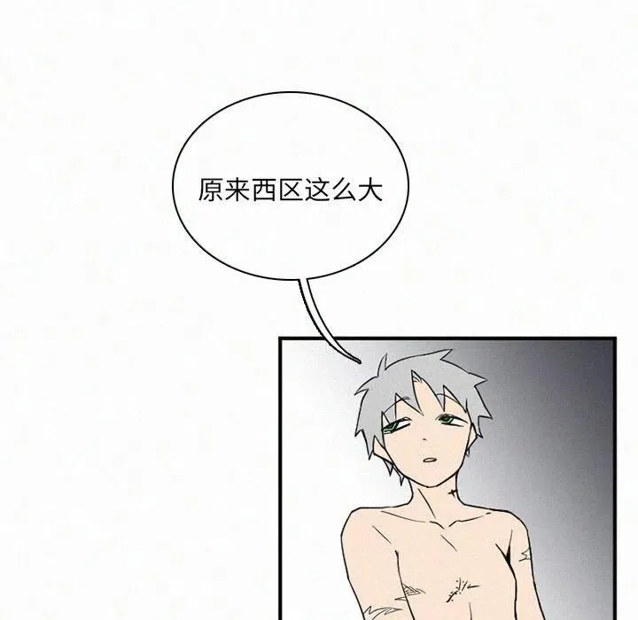 30 第71页