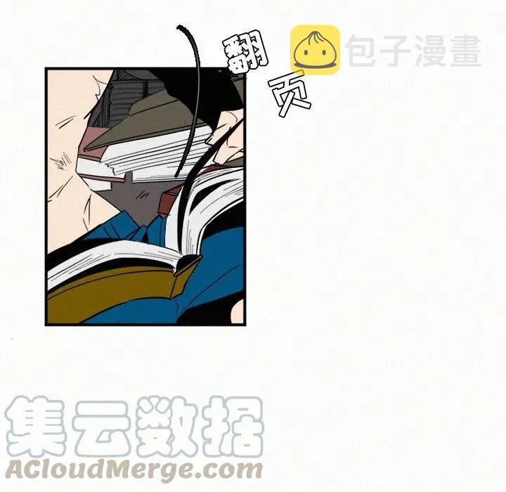 29 第25页