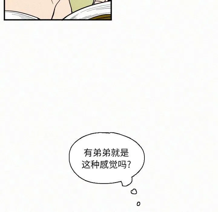 29 第36页