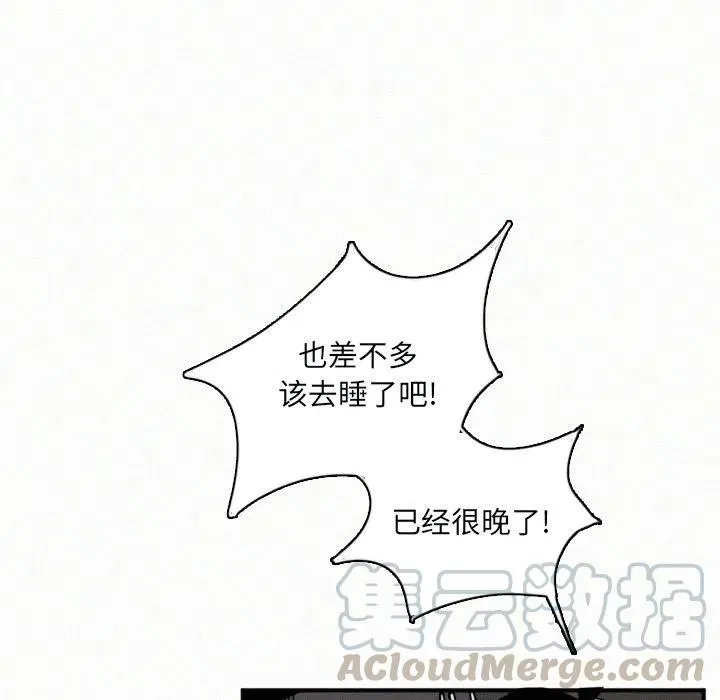 29 第41页