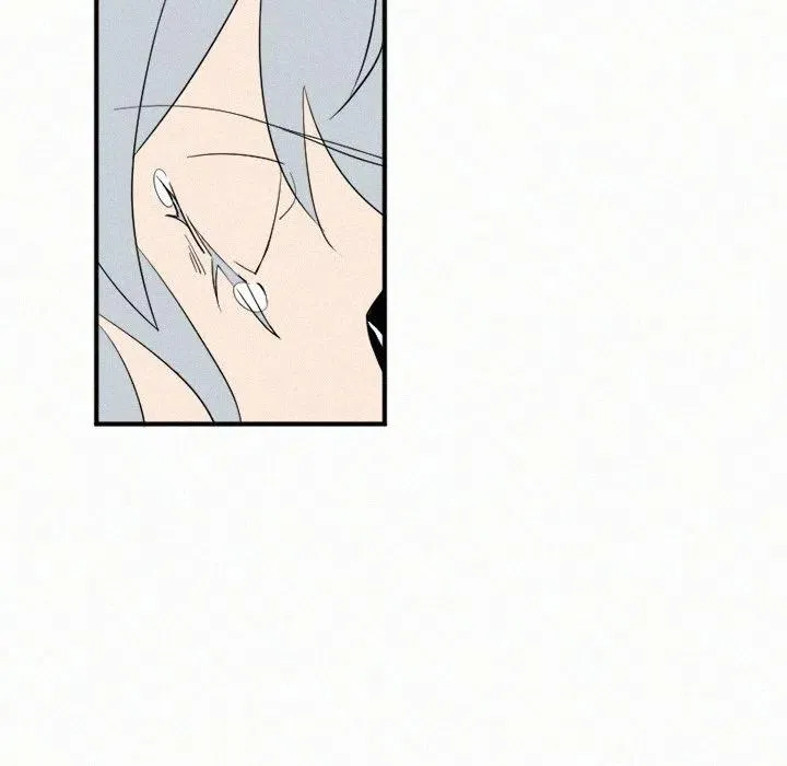29 第78页